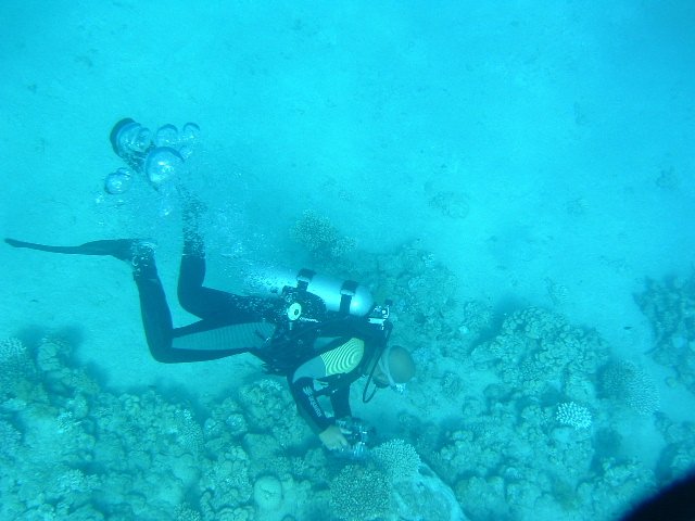 DSCF0173.JPG