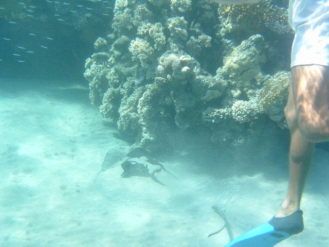 DSCF0174.JPG