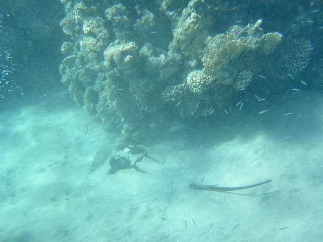 DSCF0176.JPG