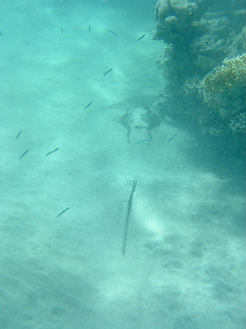 DSCF0178.JPG