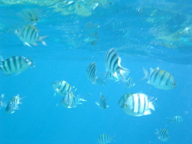 DSCF00780.JPG