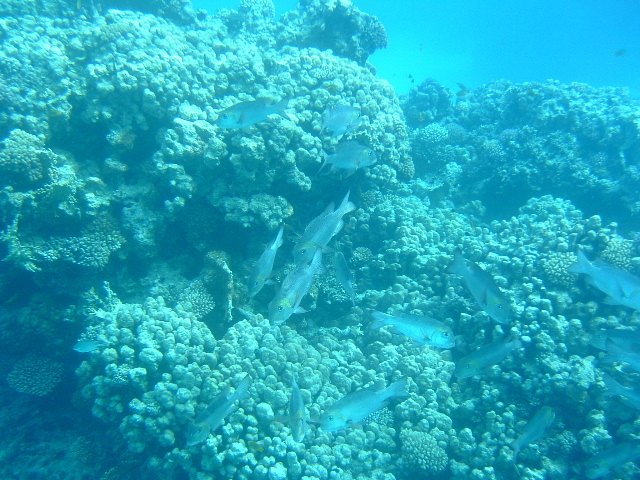 DSCF01010.JPG