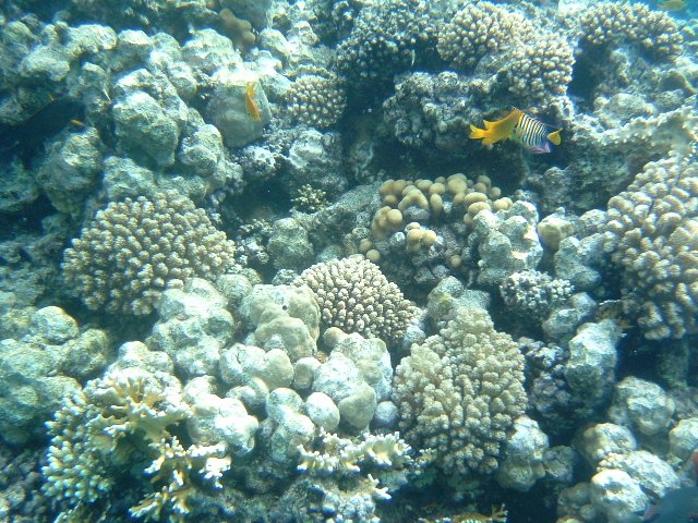 DSCF01070.JPG