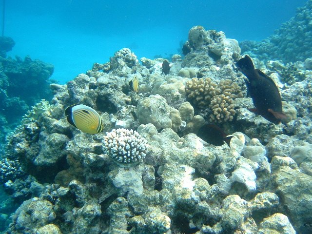 DSCF01080.JPG