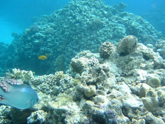 DSCF01100.JPG