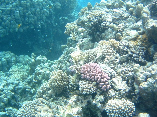 DSCF01120.JPG