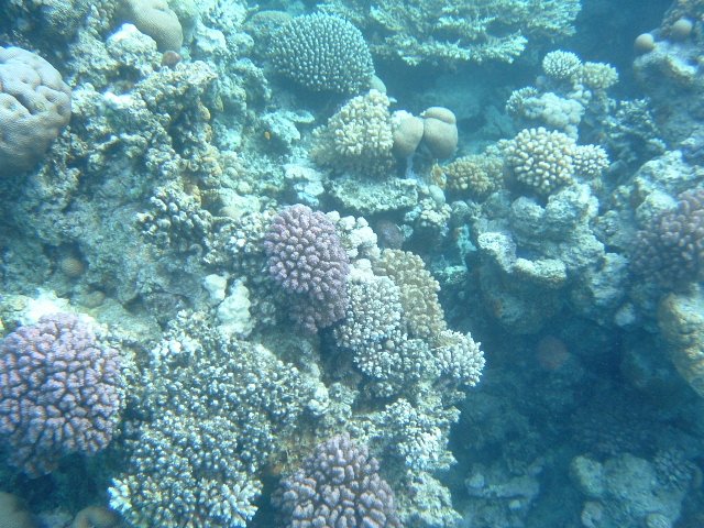 DSCF01290.JPG