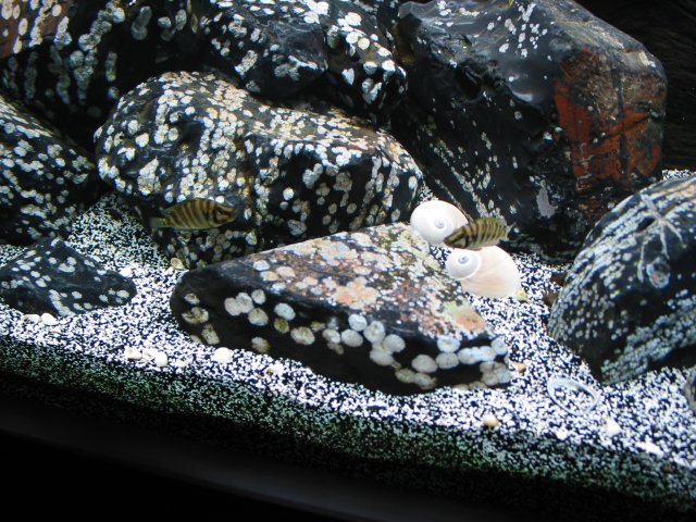 108-0814_IMG.JPG
