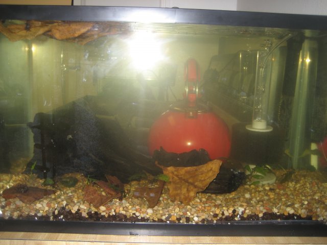 IMG_1721.jpg IMG_1721.jpg