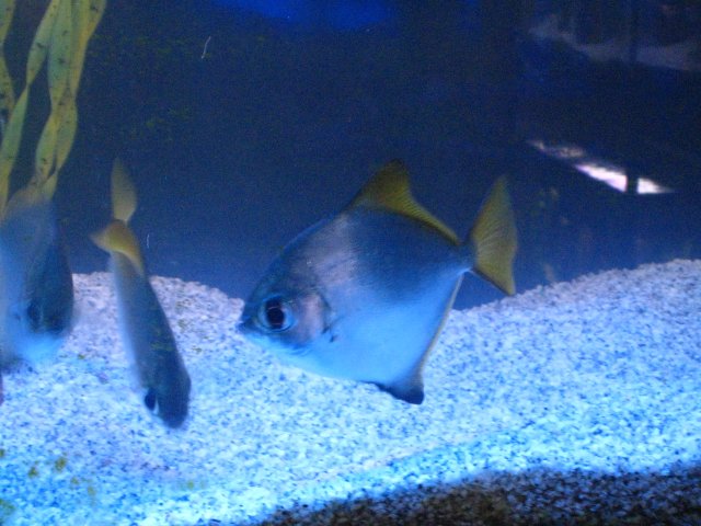 IMG_1516.JPG