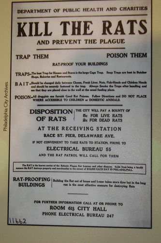 ratreward.jpg