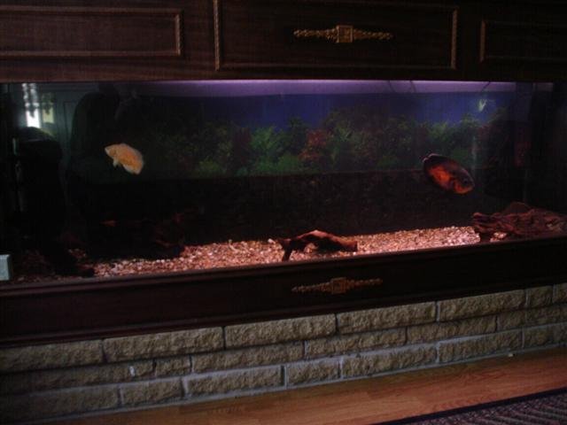 Picture001Small.jpg