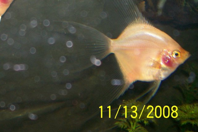 000_1315.jpg 000_1315.jpg
