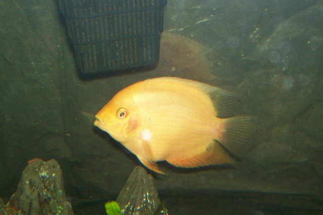 000_1316.jpg 000_1316.jpg