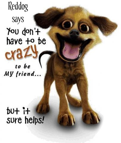 friends_crazy_dogs-1.jpg