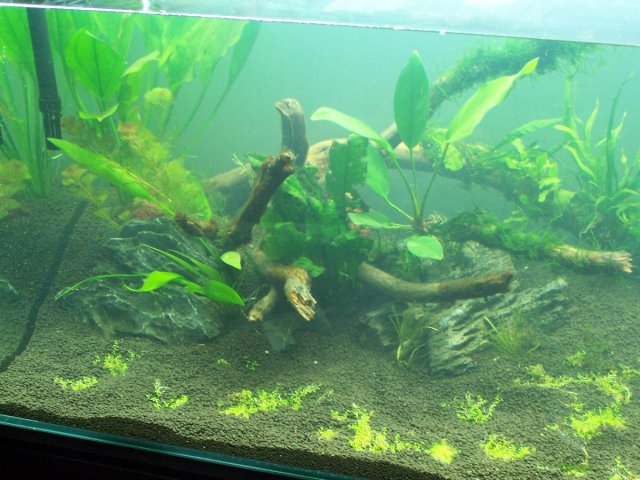 000_1428.JPG