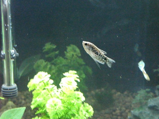 img_0659.jpg