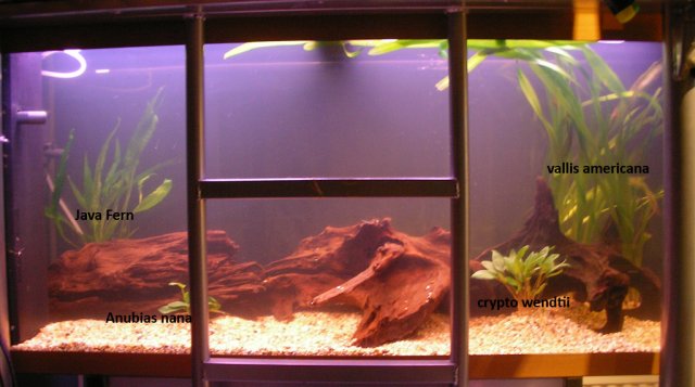 tank1.jpg