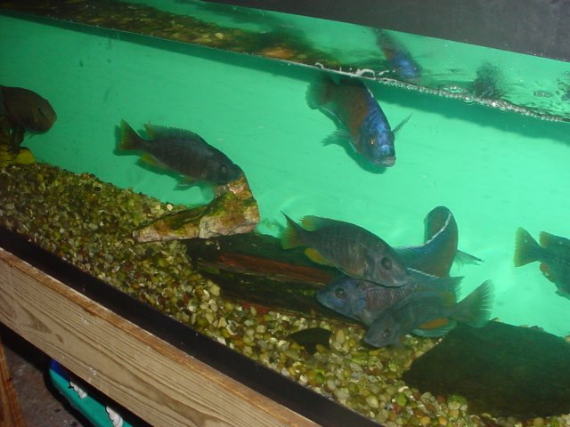 DSC00001.JPG