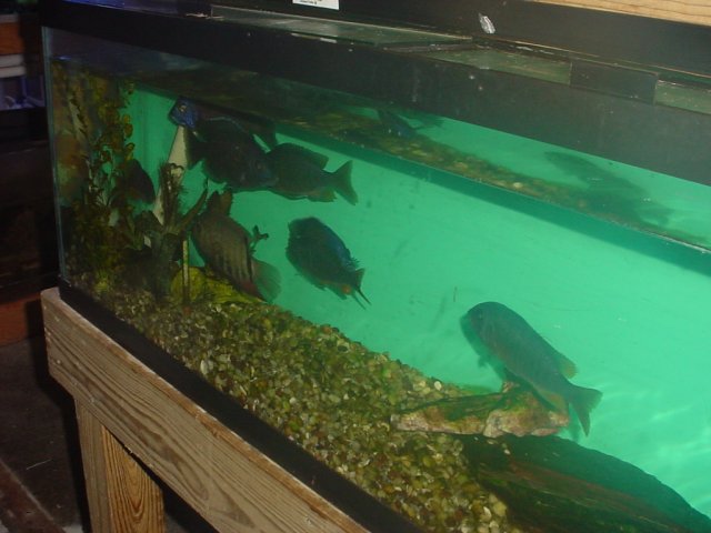 DSC00002.JPG