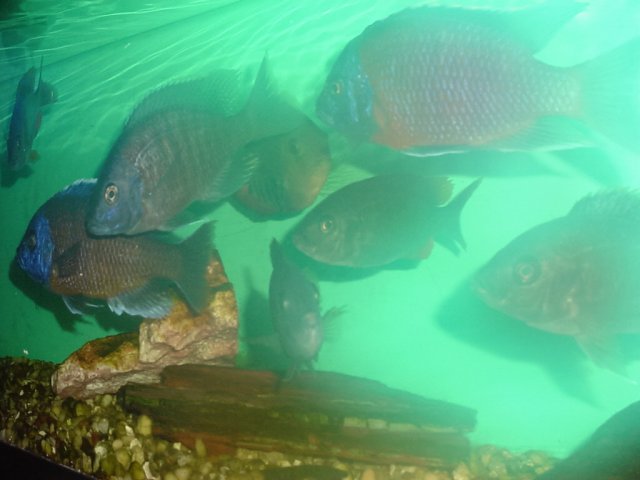 DSC00008.JPG