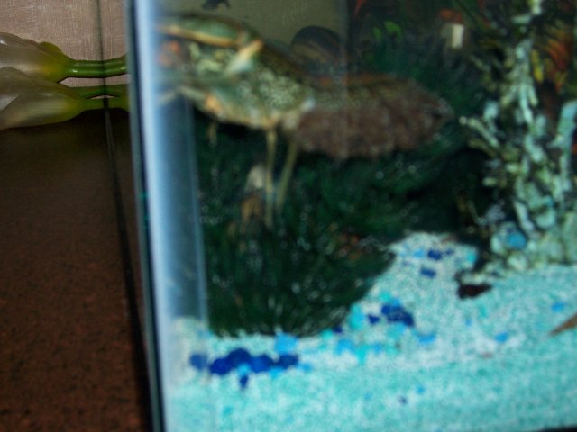 100_1624.JPG