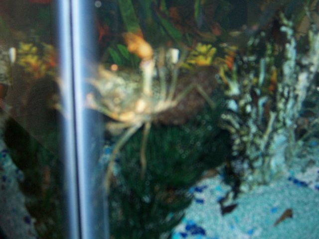 100_1625.JPG