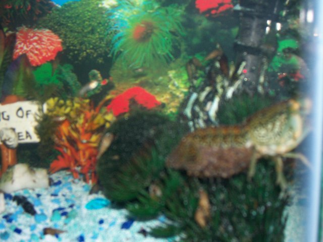 100_1627.JPG