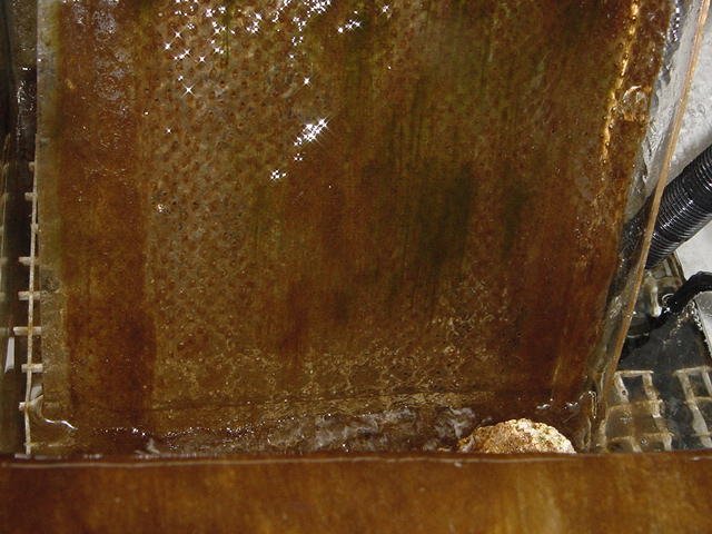 DSC04222.JPG