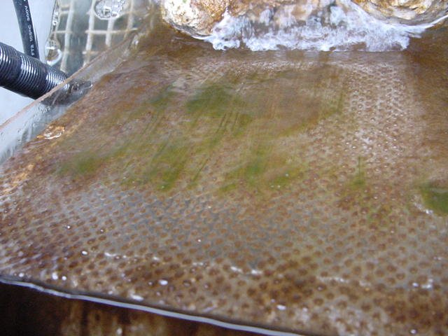 DSC04224.JPG