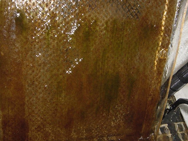 DSC04221.JPG