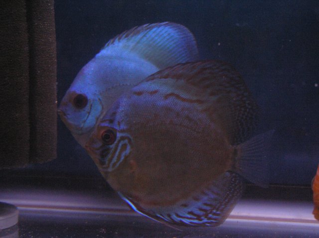 PB170354.JPG