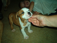 older pics 040.jpg