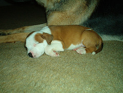 older pics 041.jpg
