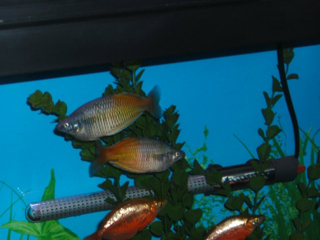 SANY0029.JPG