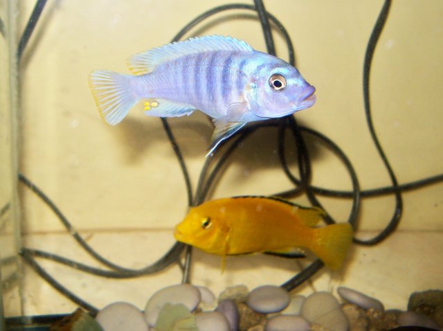 000_0024.jpg