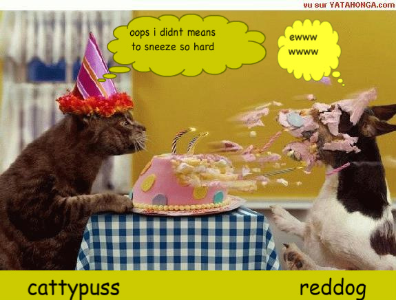 happy-birthday-1.jpg
