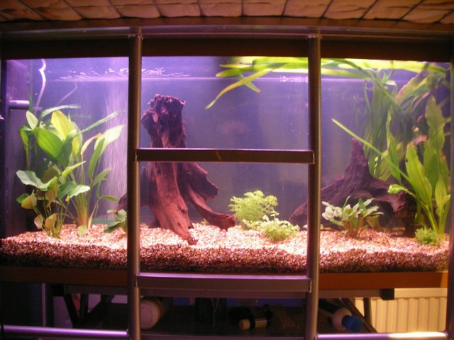 tankupdate.jpg