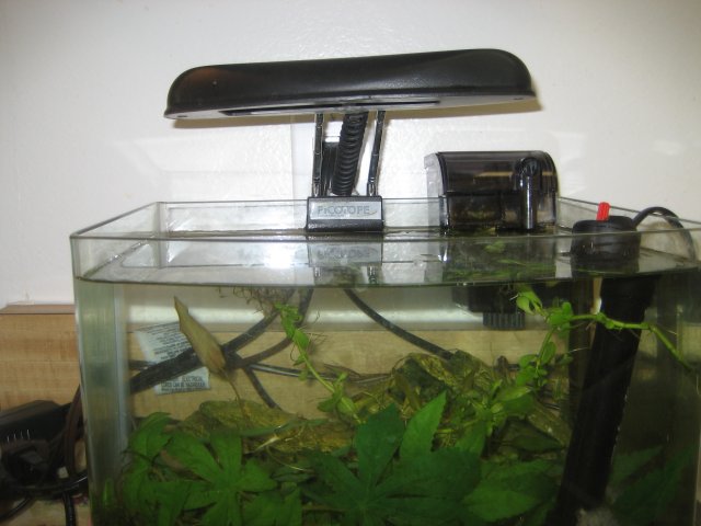 IMG_1545.jpg IMG_1545.jpg