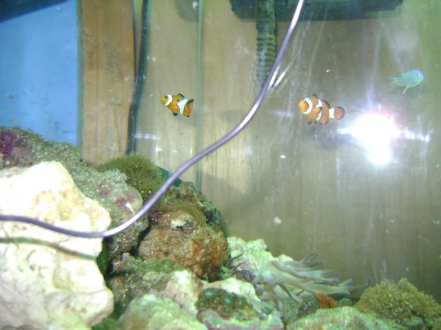 DSC00041.JPG