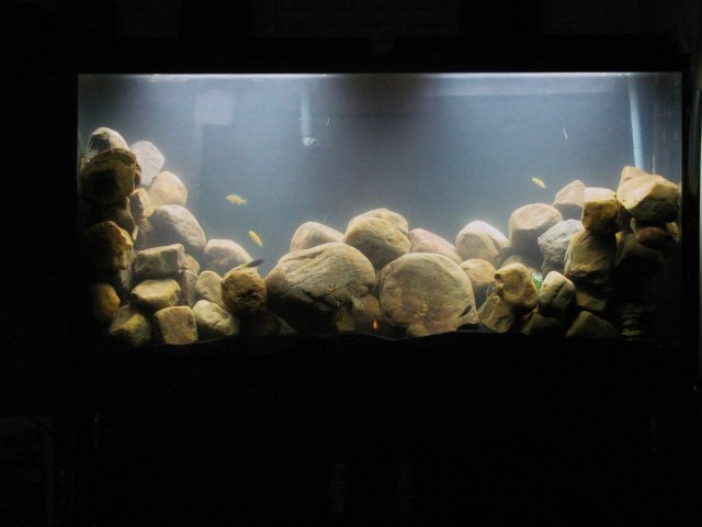 IMG_0041.JPG