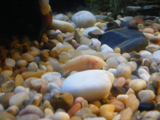 11-18-2008 038.jpg