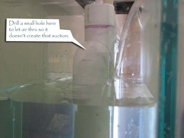 Aquaria%20002 copy.jpg