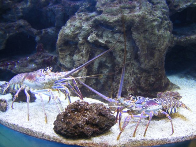 DSCF2988.jpg