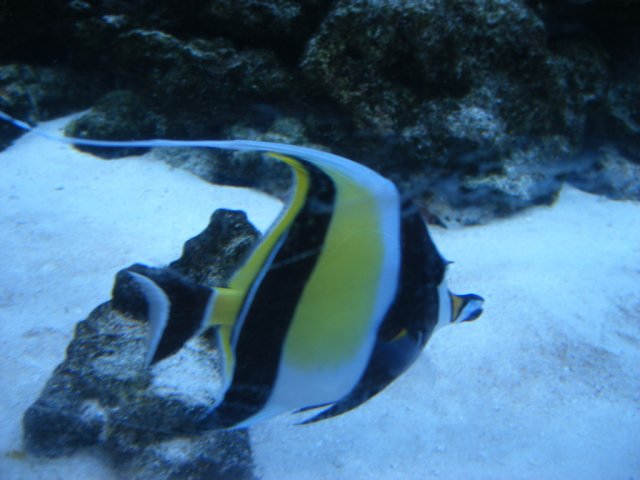 DSCF3064.jpg