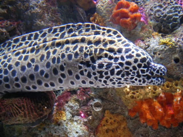 DSCF3074.jpg