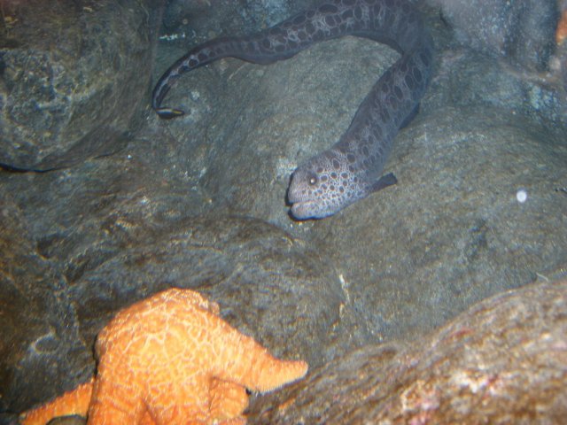 DSCF3130.jpg