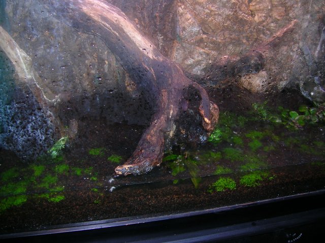 DSCN1479.JPG