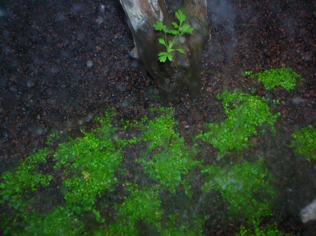 DSCN1450.JPG