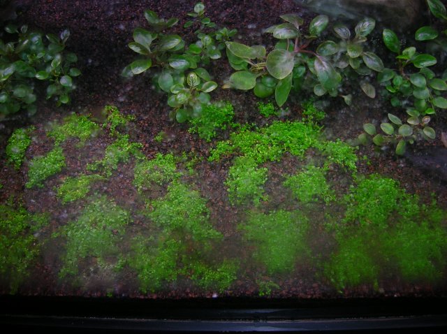 DSCN1449.JPG